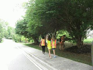 Trash Cleanup Day 7-1-15